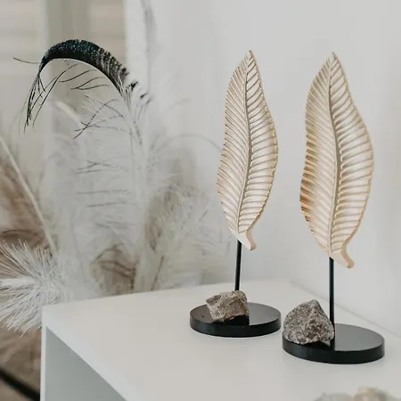 Bangu Namai - Apartamentai Su 2-iem Terasomis * Palanga